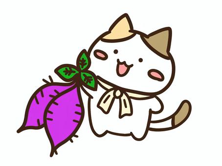 芋掘りでさつまいもを掘ったかわいい三毛猫 さつまいも,芋掘り,秋,ねこ,収穫,農業,体験,味覚狩り,野菜,食べ物のイラスト素材