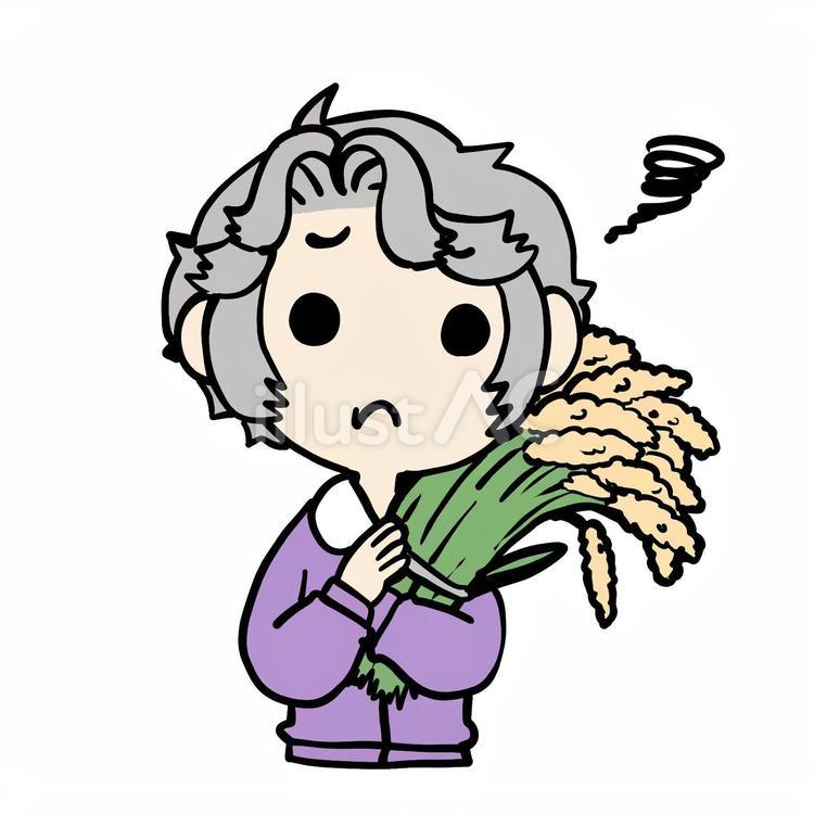 稲束を抱えて不満なおばあさん おばあさん,稲束,不満のイラスト素材