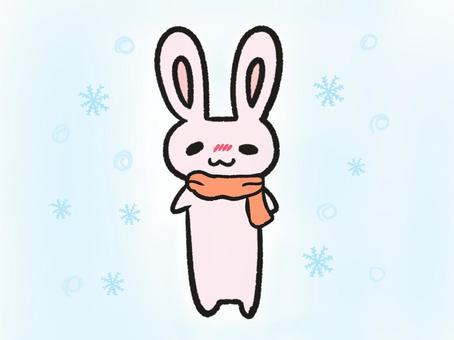 Rabbit wrapped in a muffler, rabbit, scarf, cold, JPG