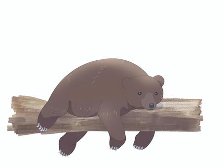 ヒグマ(寝る・主線なし) ヒグマ(寝る・主線なし) ヒグマ,クマ,動物,茶色,寝る,主線なしのイラスト素材