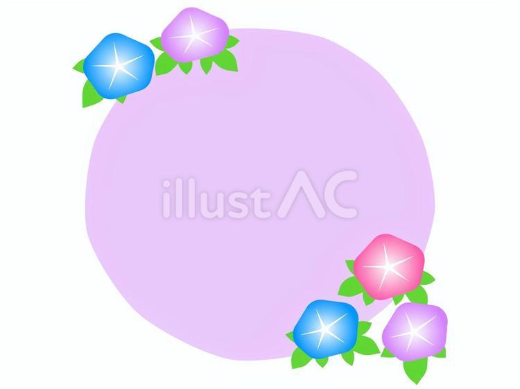 あさがおの花フレーム アサガオ,花,植物のイラスト素材