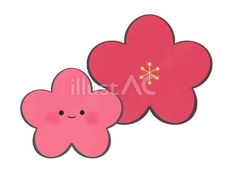 顔つきのかわいい梅の花 梅,花,植物のイラスト素材
