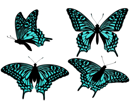 アゲハチョウ・ブルー 蝶,手書き,手描き,きれい,かわいい,無料,フリー,標本,リアル,虫のイラスト素材