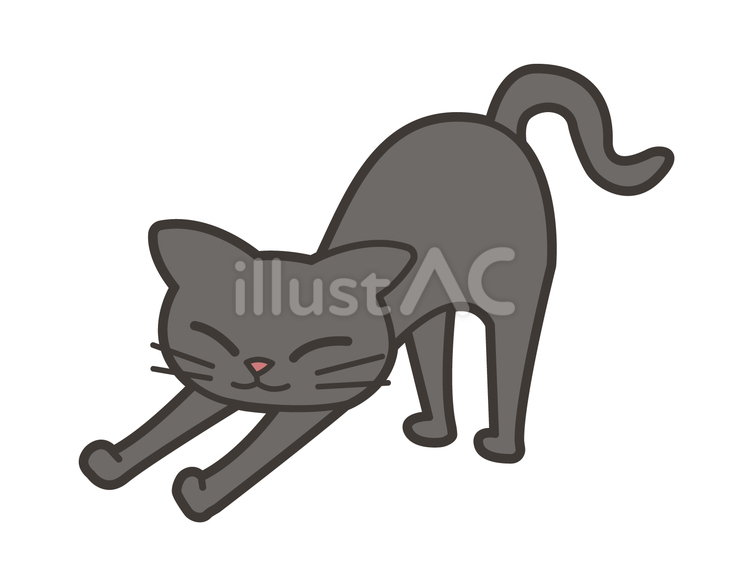 猫のポーズ　下に伸びる猫 猫,のび,ストレッチのイラスト素材