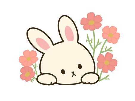 秋うさぎ（コスモス） 秋,コスモス,花,うさぎ,動物,アイコンのイラスト素材