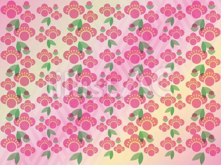梅の花素材003 梅の花,梅,うめのイラスト素材