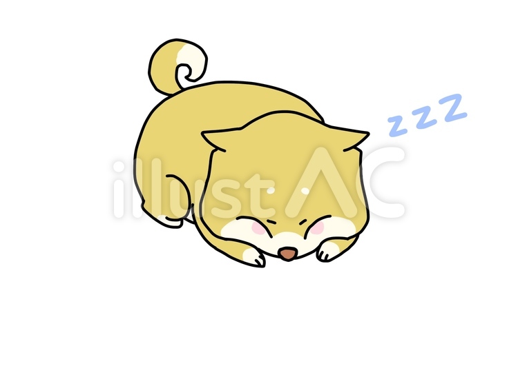 柴犬 柴犬,犬,動物のイラスト素材