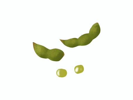 茶豆 茶豆,東北地方,山形県,宮城県,枝豆,うぶ毛,茶色,甘味,風味,夏のイラスト素材
