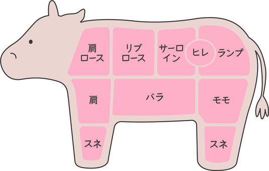 牛肉の部位 牛,部位,牛肉,スネ,文字,ヒレ,ランプ,肉,和牛,イラストのイラスト素材