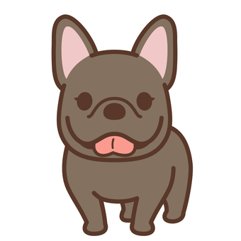 フレンチブルドッグ（ブリンドル） 犬,フレンチブルドッグ,ペット,かわいい,中型犬,犬種,ワンポイント,ポップ,動物,鼻ぺちゃのイラスト素材