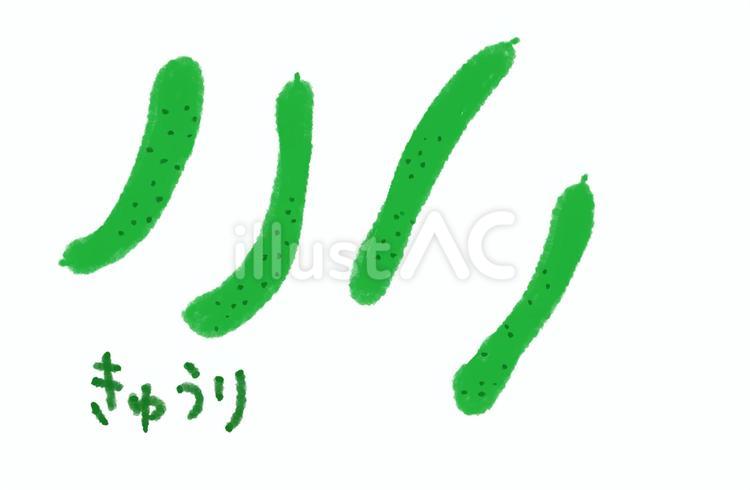 きゅうり きゅうり,キュウリ,野菜のイラスト素材