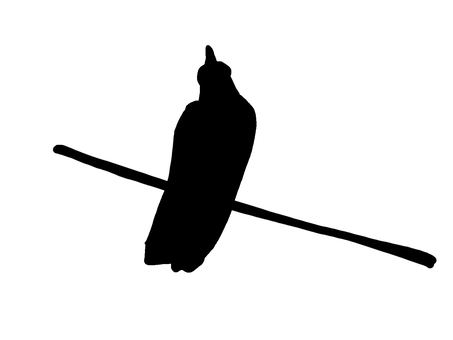 Crow, sylwetka, ilustracja ptaków, JPG and PNG