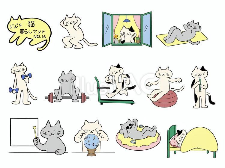 猫・暮らしセット　No.16（カラー） 猫,スクワット,腹筋運動のイラスト素材
