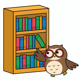 本棚とフクロウ フクロウ,本棚,本,キャラクター,斜め,図書,主線ありのイラスト素材