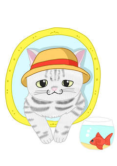 猫と金魚 猫,たれ目,麦わら帽子,金魚,金魚鉢のイラスト素材