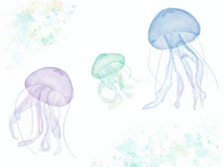 クラゲ クラゲ,海月,三匹,三兄弟,水彩,海,かわいい,手描き,きれいのイラスト素材