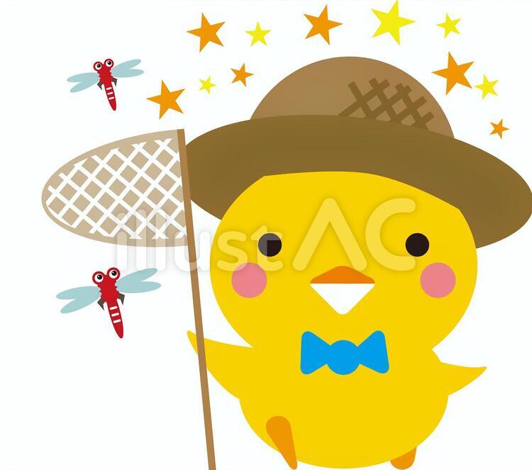 アヒルちゃんの夏休み 顔,動物,鳥のイラスト素材
