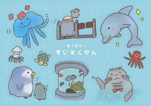 あつまれ！水族館　背景有り 水族館,クラゲ,たこ,いか,かめ,イルカ,ペンギン,水槽,親子,アシカのイラスト素材