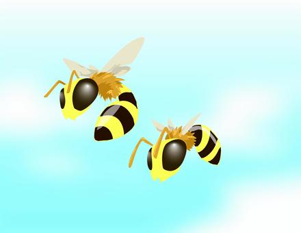 ミツバチ ミツバチ ミツバチ,昆虫,ハニーのイラスト素材