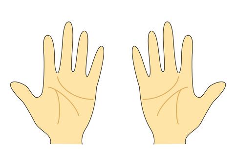 手のひら（両手） 手のひら,手,手相,線,人体,指,掌,ハンド,両手のイラスト素材