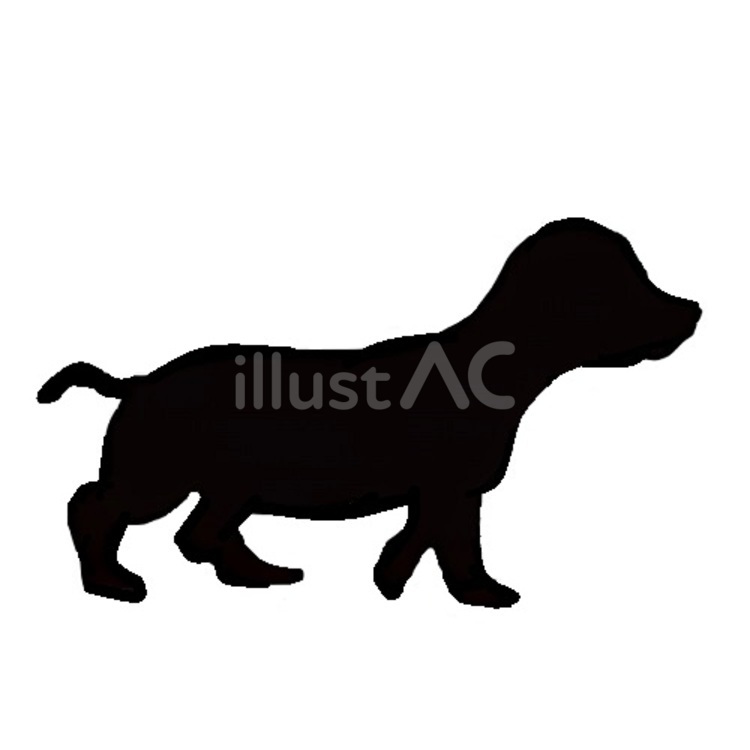 犬。。 犬,シルエット,動物のイラスト素材