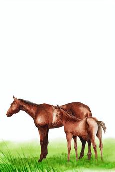 年賀ハガキ水彩馬の親子 馬,午年,動物,親子,干支,十二支,水彩,手描き,イラスト,アナログのイラスト素材