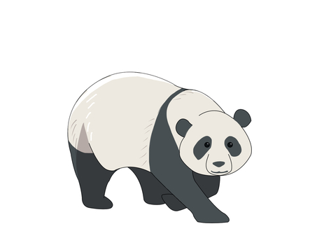 パンダ（立ち姿）