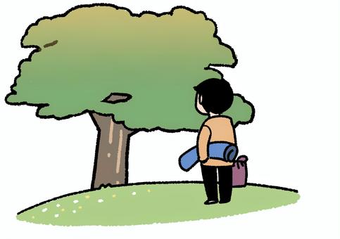 紅葉を見に言ったらまだ全然色づいてない 紅葉狩り,木,場所取り,緑,時期,早い,ピクニックのイラスト素材