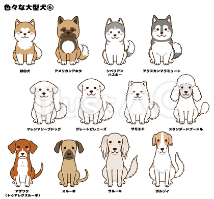 色々な大型犬⑥