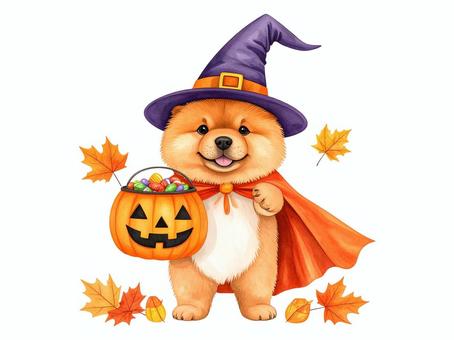ハロウィーンを楽しむ魔法使いチャウチャウ