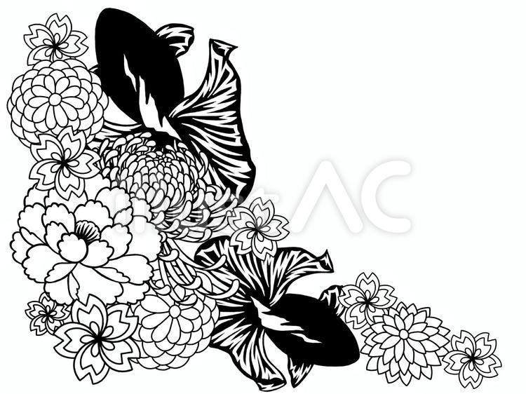 金魚と花イラスト No 無料イラストなら イラストac