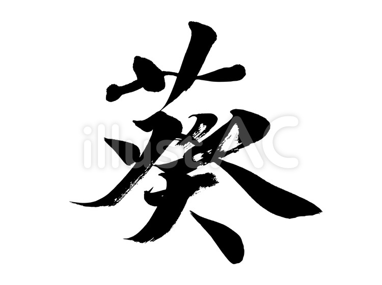 葵 葵,あおい,命名のイラスト素材