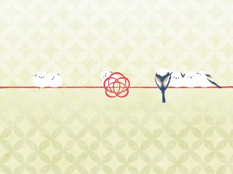 シマエナガ水引　のし紙デザイン　七宝 シマエナガ,水引,のし紙,背景,梅,梅結び,金,和柄,和紙,かわいいのイラスト素材