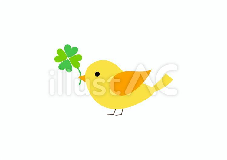 クローバーと小鳥5 小鳥,鳥,クローバーのイラスト素材