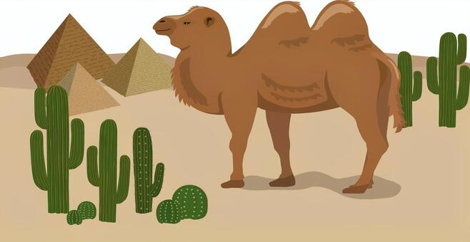 ピラミッドとラクダ 砂漠,荒原,ラクダ,フタコブ,キャメル,動物,哺乳類,ピラミッド,エジプト,中南米のイラスト素材