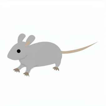 ねずみ