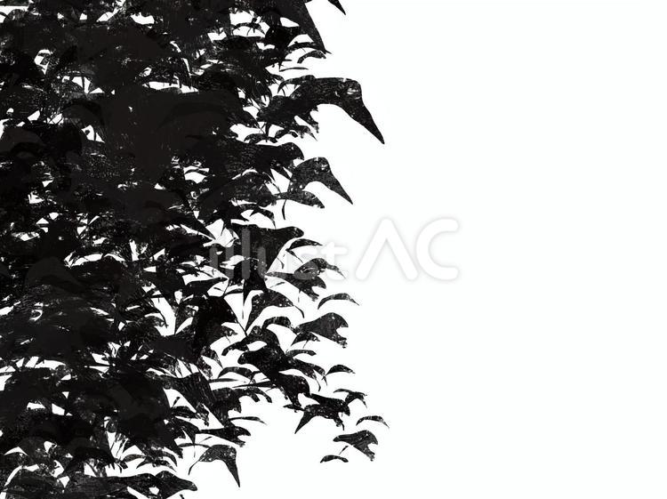 生い茂る木の葉シルエット 木,フレーム,モノクロのイラスト素材
