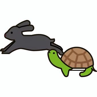 slow, fast, slow, rabbit, JPG and PNG