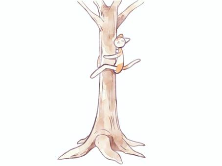 木登り猫 猫,可愛い,木,登る,しがみつく,水彩風のイラスト素材