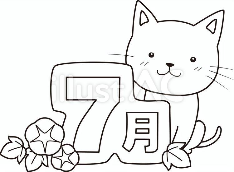7月（猫と朝顔） ７月,猫,塗り絵のイラスト素材