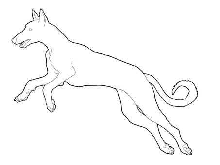 イビザン・ハウンド　線画 イビザン・ハウンド,犬,大型犬,スペイン,いぬ,線画,線,全身,シンプル,デザインのイラスト素材