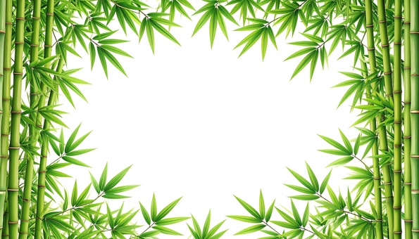 Bamboo frame, bamboo, frame, background, JPG