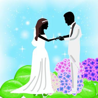 June Bride Bride and Bride Hydrangea, JPG and AI June Bride Bride and Bride Hydrangea, june bride, bride and groom, hydrangea, JPG and AI