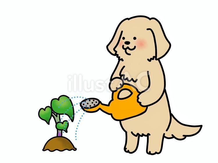 サツマイモの苗に水をあげるイヌさん さつまいも,苗,ゴールデンレトリバーのイラスト素材