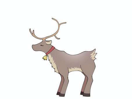 鈴をつけたトナカイ
