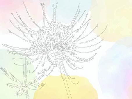 やさしげな背景204＿彼岸花 花,彼岸花,秋,秋の花,背景,壁紙,フレーム,植物,枠,飾り枠のイラスト素材