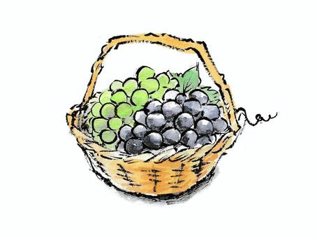 絵手紙風の籠盛り葡萄 葡萄,果物,食べ物,果実,秋,８月,９月,籠,巨峰,マスカットのイラスト素材