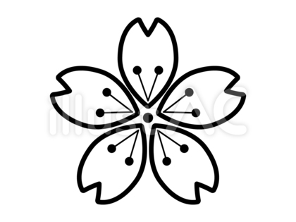桜06【線のみ】