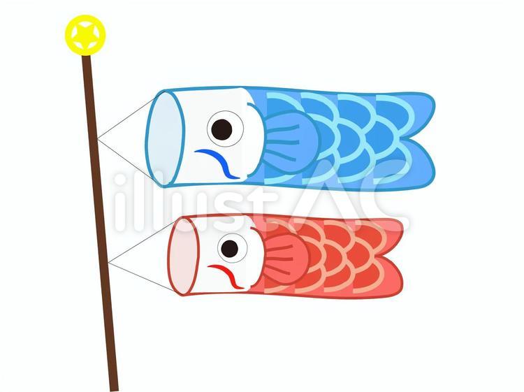 こいのぼり 鯉登り,季節の行事,こどものひのイラスト素材