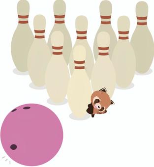 Bowling_lesser panda_smile, , JPG, PNG and AI